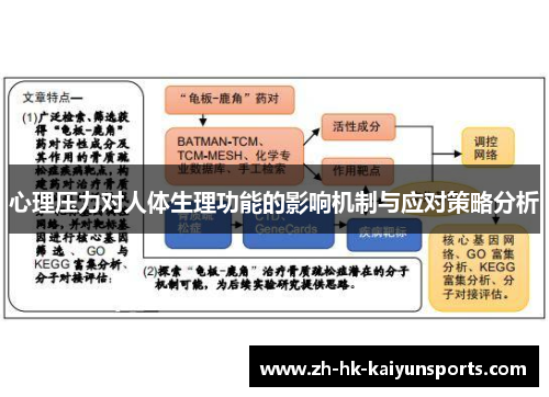 心理压力对人体生理功能的影响机制与应对策略分析