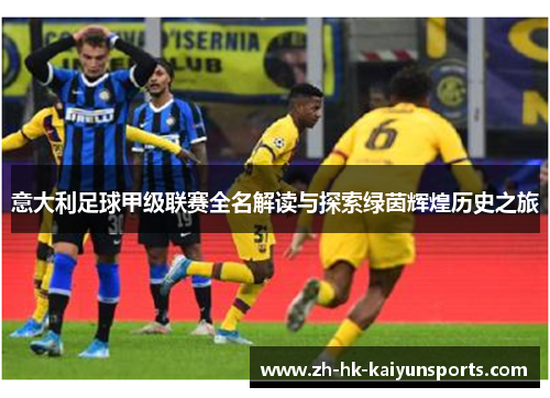 意大利足球甲级联赛全名解读与探索绿茵辉煌历史之旅