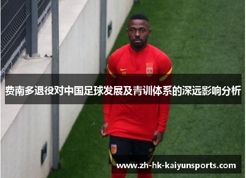 费南多退役对中国足球发展及青训体系的深远影响分析